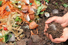 Carica l'immagine nel visualizzatore di Gallery, EATALIAN 100 capsule Camomilla compatibili con macchina/macchinetta