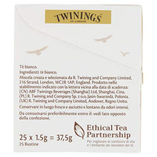 Carica l'immagine nel visualizzatore di Gallery, Twinings Pure White Tea 25 Filtri