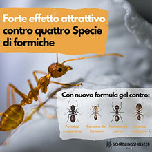 Carica l'immagine nel visualizzatore di Gallery, Panteer ® Lattina di esca per formiche - 4 esche per formiche - Facile controllo delle formiche con veleno per formiche - Contro più di 3 specie - Per interni e per le formiche nel prato