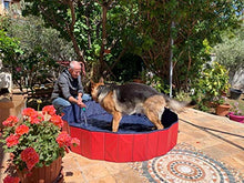 Carica l'immagine nel visualizzatore di Gallery, Femor Piscina per Cani, Gatti, Bagno 160x160x30cm, Rosso