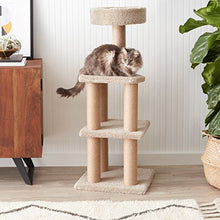Carica l'immagine nel visualizzatore di Gallery, AmazonBasics - Tiragraffi ad albero per gatti, Grande - Ilgrandebazar