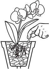 Carica l'immagine nel visualizzatore di Gallery, Compo, Concime in Bastoncini per Orchidee, Fino a 3 Mesi di nutrimento, 20...