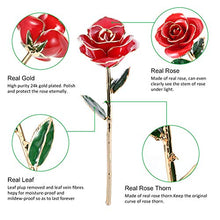 Carica l'immagine nel visualizzatore di Gallery, Gomyhom Eternal Rose, Rose con Supporto e Bella Scatola, Rosso Con - Ilgrandebazar