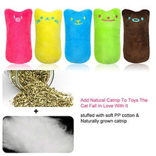 Carica l'immagine nel visualizzatore di Gallery, SEGMINISMART Catnip Giocattoli per Gatti, Gatti Giocattoli, Interattivi...