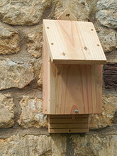 Carica l'immagine nel visualizzatore di Gallery, Wildlife World CBB Casella per i Pipistrelli
