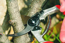 Carica l'immagine nel visualizzatore di Gallery, FELCO 6996013 Forbici per Potatura - Ilgrandebazar