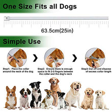 Carica l'immagine nel visualizzatore di Gallery, Collare Antipulci Cane, per Cani e Zecche Regolabile 1pack