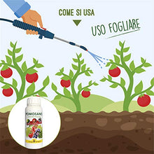 Carica l'immagine nel visualizzatore di Gallery, I Consigli Dell'Esperto Pomosano Concime Minerale e Calcio, 500 gr