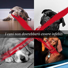 Carica l'immagine nel visualizzatore di Gallery, ZIIDOO Set di Giocattoli per Cani, Corda da Masticare, Frisbee, Palla che... - Ilgrandebazar