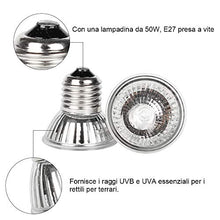 Carica l'immagine nel visualizzatore di Gallery, GOLDGE Tartaruga Illuminazione, 50W Basking Lampada Alogena Calore... - Ilgrandebazar
