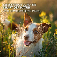Carica l'immagine nel visualizzatore di Gallery, AniForte WermiX per Cani 50 Capsule - Prodotto Naturale Prima, Durante e...