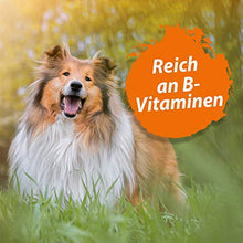 Carica l'immagine nel visualizzatore di Gallery, Ida Plus Birra hefe Compresse con SOLL rottura stelle – per Cani – 120 pezzi...