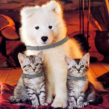 Carica l'immagine nel visualizzatore di Gallery, NINGBO CHANSON Collare Antipulci per Cane e Gatto, 60cm Collare... - Ilgrandebazar