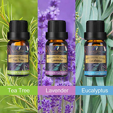 Carica l'immagine nel visualizzatore di Gallery, Oli Essenziali per Diffusori Top 6 Set - Aromaterapia Olio Essenziale... - Ilgrandebazar