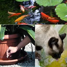 Carica l'immagine nel visualizzatore di Gallery, Sandokan Bio Tiger Tab - Larvicida in pastiglie effervescenti (50 pastiglie)