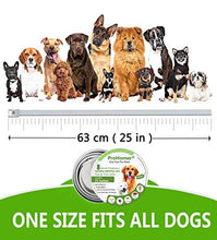 Carica l'immagine nel visualizzatore di Gallery, PROZADALAN [2 PCS] Collare Antipulci Cane, Antiparassitario per Cani per... - Ilgrandebazar
