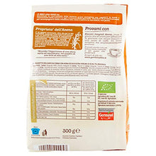 Carica l'immagine nel visualizzatore di Gallery, Germinal Bio Biscotti Integrali Avena - 300 g