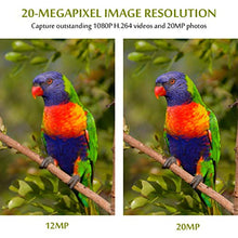 Carica l'immagine nel visualizzatore di Gallery, Videocamera da Caccia 20MP 1080P H.264 Video con Visione Notturna Grigio
