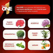 Carica l'immagine nel visualizzatore di Gallery, 6