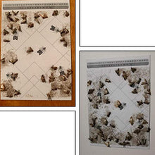 Carica l'immagine nel visualizzatore di Gallery, PIC Trappola Anti Tarme del Cibo - Confezione da 3 buste con due trappole =...