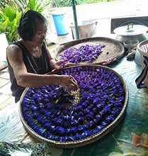 Carica l'immagine nel visualizzatore di Gallery, 100g Blue Butterfly Pea Flowers - Naturally Produced and Hand Selected -...