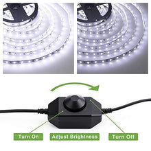 Carica l'immagine nel visualizzatore di Gallery, 6M Striscia LED Dimmerabile 12V, Novostella 1800LM SMD2835 360 Bianco Freddo - Ilgrandebazar