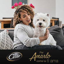 Carica l'immagine nel visualizzatore di Gallery, Cesar Scelta dello Chef Cibo per Cane, Pollo alla Griglia con Riso Integrale... - Ilgrandebazar