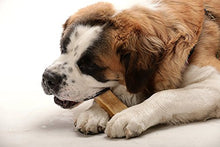 Carica l'immagine nel visualizzatore di Gallery, Yak masticare per cani, cane mastica trattare (Medium Dogs) Medium Dogs - Ilgrandebazar