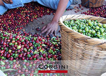 Carica l'immagine nel visualizzatore di Gallery, Caffè Corsini - American Coffee Miscela di Macinato per Caffè...
