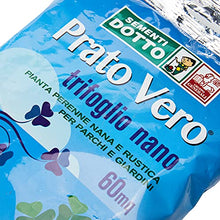 Carica l'immagine nel visualizzatore di Gallery, Sdd 40030440 Prato Trifoglio Nano, Verde, 12x20x2 cm