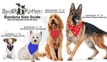 Carica l'immagine nel visualizzatore di Gallery, Spoilt Rotten Pets Design esclusivo,Black Star Wars The Force è forte con...