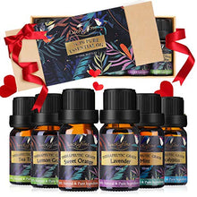 Carica l'immagine nel visualizzatore di Gallery, Oli Essenziali per Diffusori Top 6 Set - Aromaterapia Olio Essenziale... - Ilgrandebazar