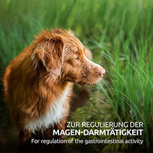 Carica l'immagine nel visualizzatore di Gallery, AniForte WermiX per Cani 50 Capsule - Prodotto Naturale Prima, Durante e...