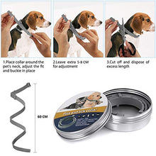 Carica l'immagine nel visualizzatore di Gallery, NINGBO CHANSON Collare Antipulci per Cane e Gatto, 60cm Collare... - Ilgrandebazar