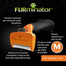 Carica l'immagine nel visualizzatore di Gallery, Furminator Strumento Premium per il deShedding del Sottopelo Cani Media