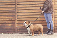 Carica l'immagine nel visualizzatore di Gallery, Nasjac Guinzaglio per Cani, guinzaglio addestramento 5FT Nero