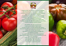 Carica l'immagine nel visualizzatore di Gallery, 2