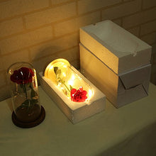 Carica l'immagine nel visualizzatore di Gallery, Ledmomo - Lampada con rosa in seta e luce a LED, cupola di vetro e base... - Ilgrandebazar