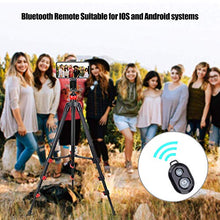 Carica l'immagine nel visualizzatore di Gallery, BONFOTO - Treppiede per fotocamera, portatile, in alluminio, con testa a...