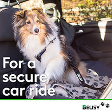 Carica l'immagine nel visualizzatore di Gallery, Imbracatura da auto BELISY per cani e gatti - regolabile - Nero - Ilgrandebazar