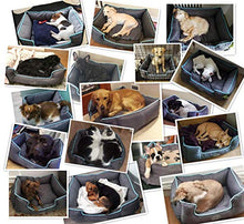 Carica l'immagine nel visualizzatore di Gallery, Cuccia per Cani Sfoderabile Cuscino Rettangolare in M( 63×53 cm), Grigio