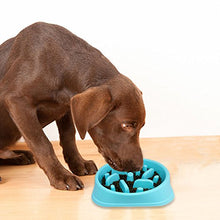 Carica l'immagine nel visualizzatore di Gallery, Decyam Ciotola Cani Mangiare Lento, Distributore di Cibo blue 1 - Ilgrandebazar