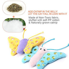 Carica l'immagine nel visualizzatore di Gallery, Giocattoli per gatti,Catnip Gatti, con erba gatta...