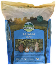 Carica l'immagine nel visualizzatore di Gallery, Oxbow, Fieno Alfalfa, 425 g - Ilgrandebazar