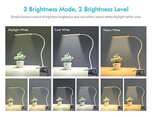 Carica l'immagine nel visualizzatore di Gallery, OxyLED Lampada da scrivania con 24 luci T34 White Clip Table Lamp - Ilgrandebazar