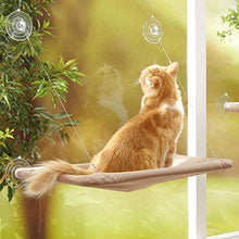 Carica l'immagine nel visualizzatore di Gallery, Amaca da crogiolo per Gatti montata su Finestra Pesce persico, Ventosa...
