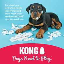 Carica l'immagine nel visualizzatore di Gallery, KONG - Puppy Gioco gomma naturale per dentizione - Masticare e riportare - S - Ilgrandebazar