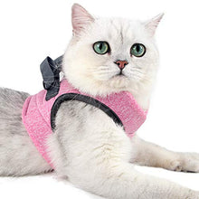 Carica l'immagine nel visualizzatore di Gallery, Dotoner Set di Pettorina e guinzaglio per Gatti, Imbracatura M, pink2