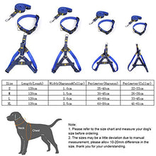 Carica l'immagine nel visualizzatore di Gallery, Set guinzaglio per Cani Collare in Denim Gatto di Small, Nero - Ilgrandebazar