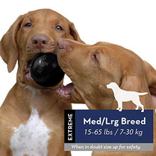 Carica l'immagine nel visualizzatore di Gallery, KONG - Extreme Ball - Gioco Gomma Resistente Per Cani Con Masticazione M/L